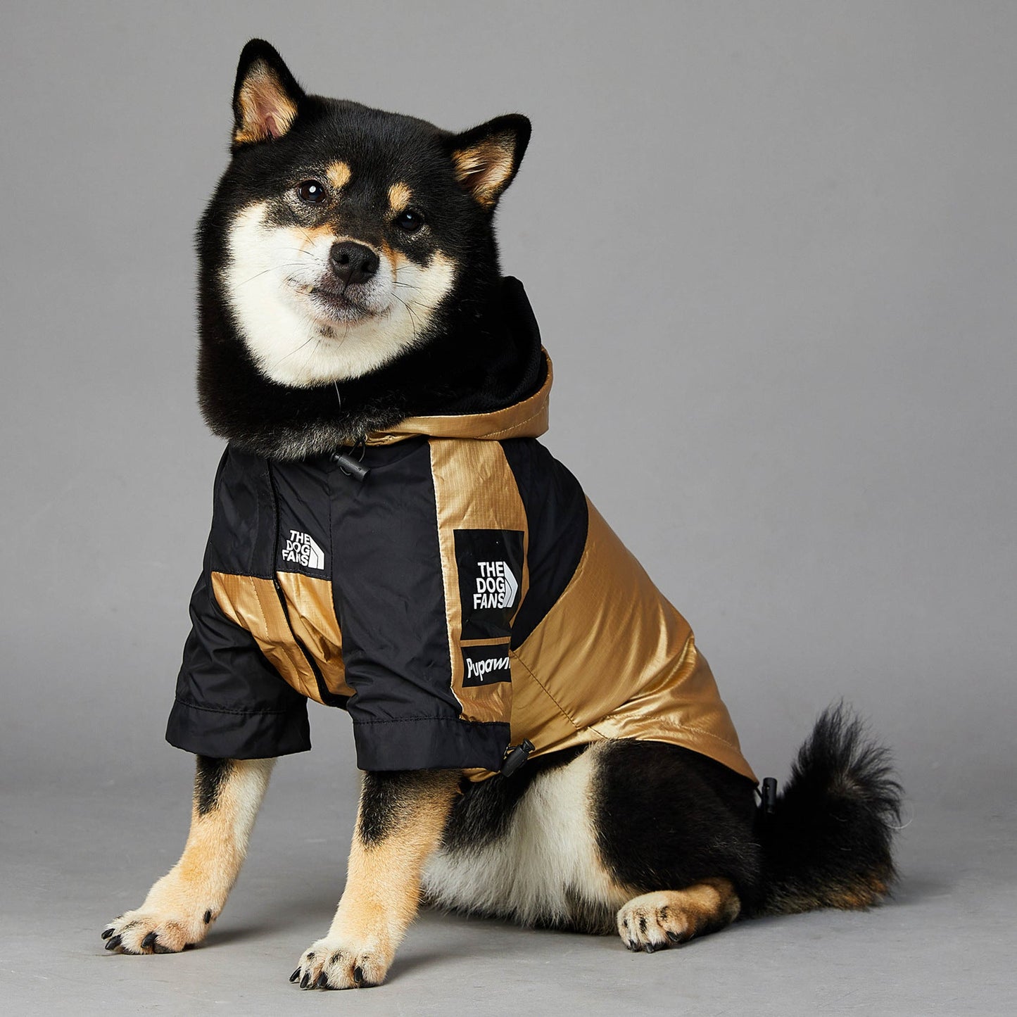 Dog Raincoat Jacket - 4 Legs R Us