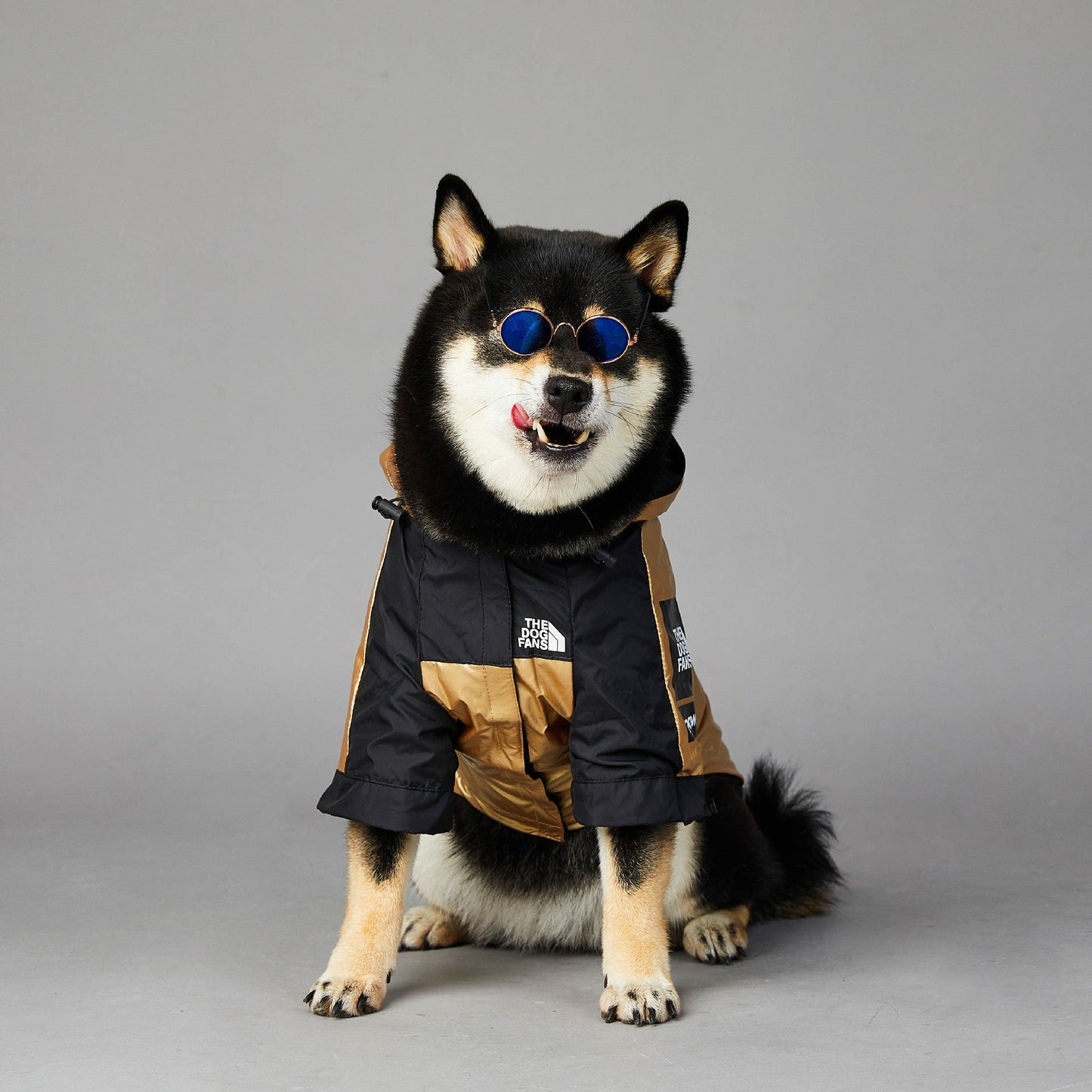 Dog Raincoat Jacket - 4 Legs R Us