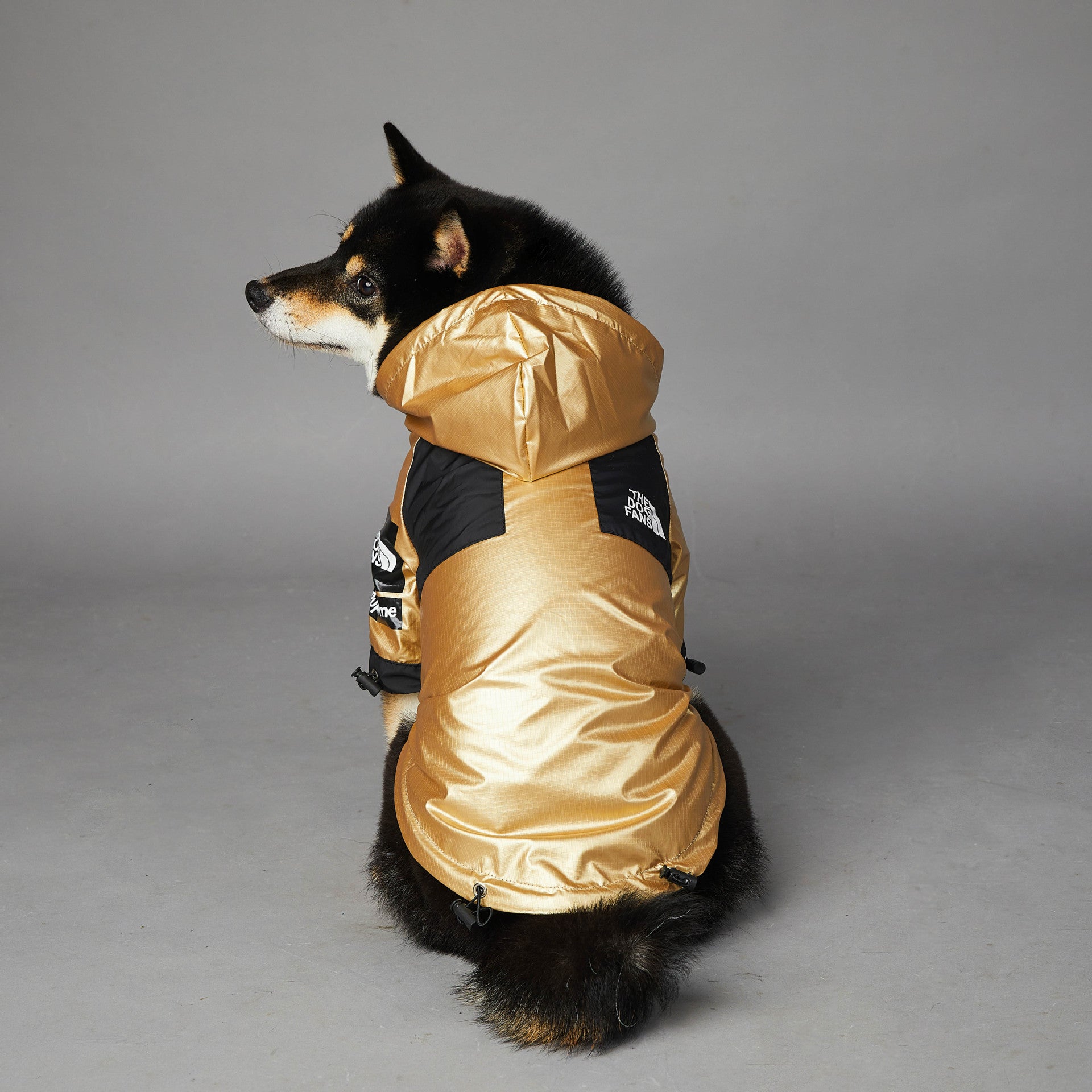 Dog Raincoat Jacket - 4 Legs R Us