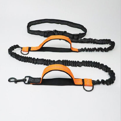 Hands Free Dog Leash - 4 Legs R Us