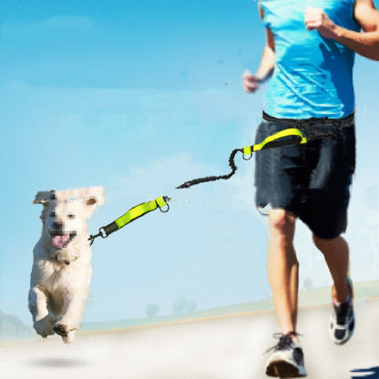 Hands Free Dog Leash - 4 Legs R Us