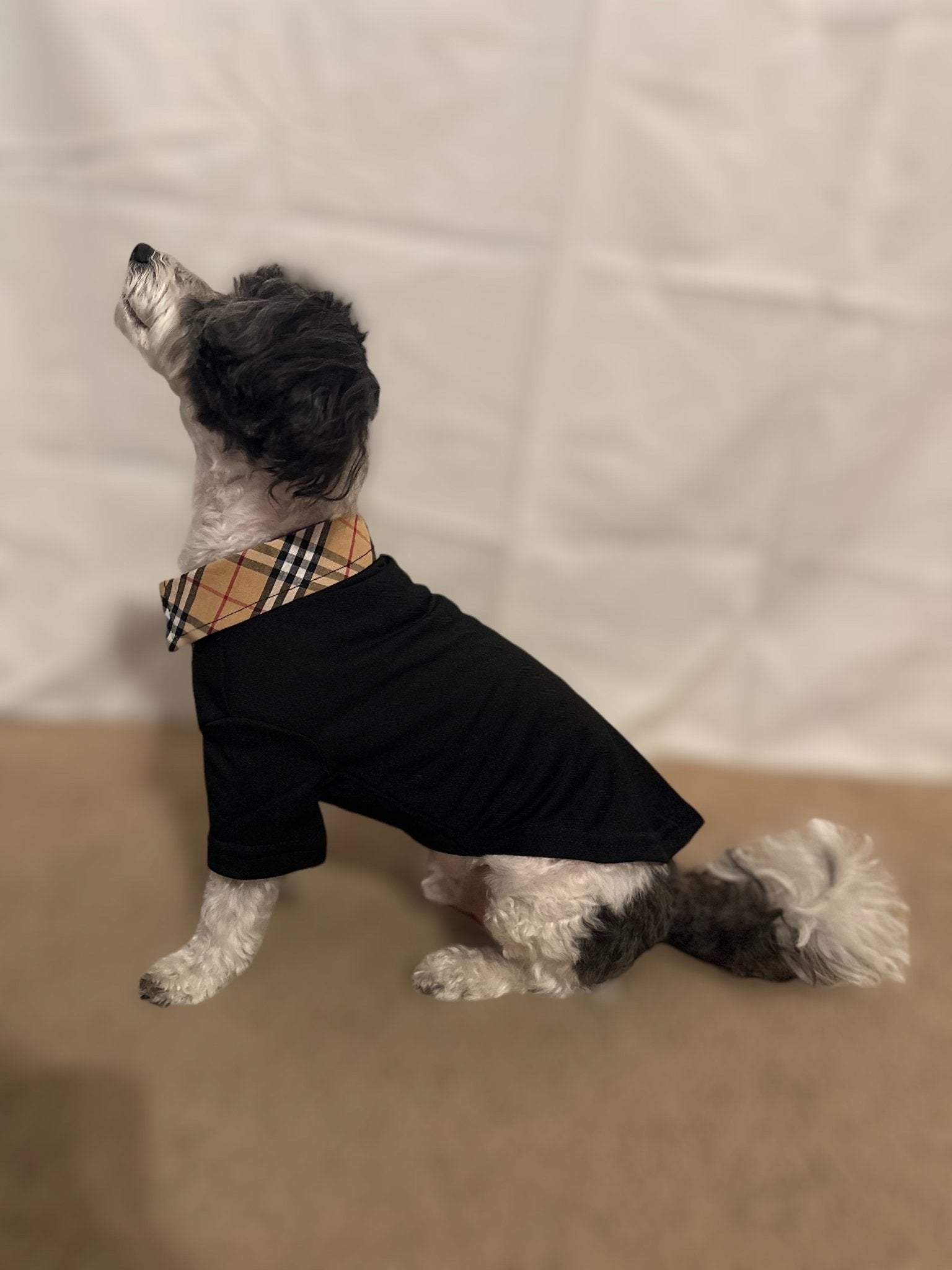 Pawfectly Plaid Lapel Collar Pet T-Shirt - 4 Legs R Us