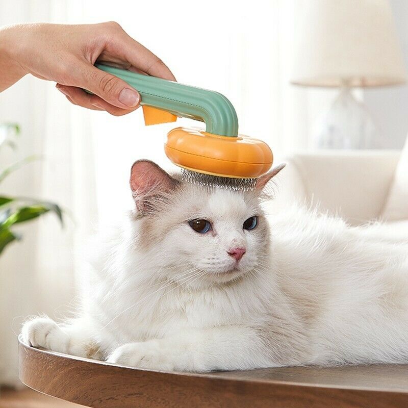 Pet Grooming Pumpkin Brush - 4 Legs R Us