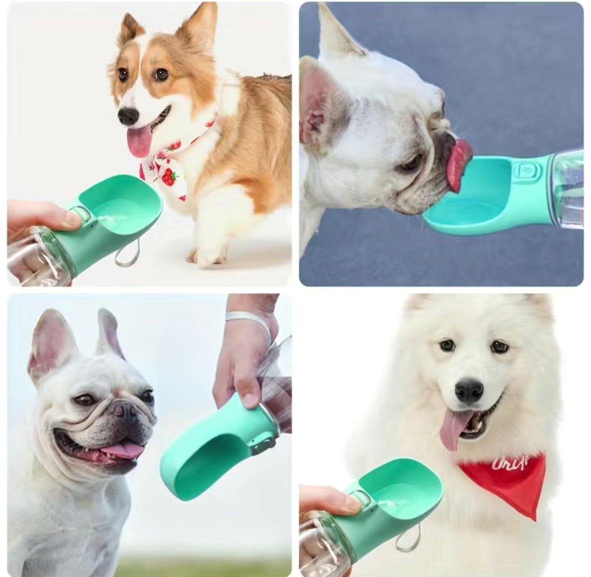 Portable pet drinking outlet bottle