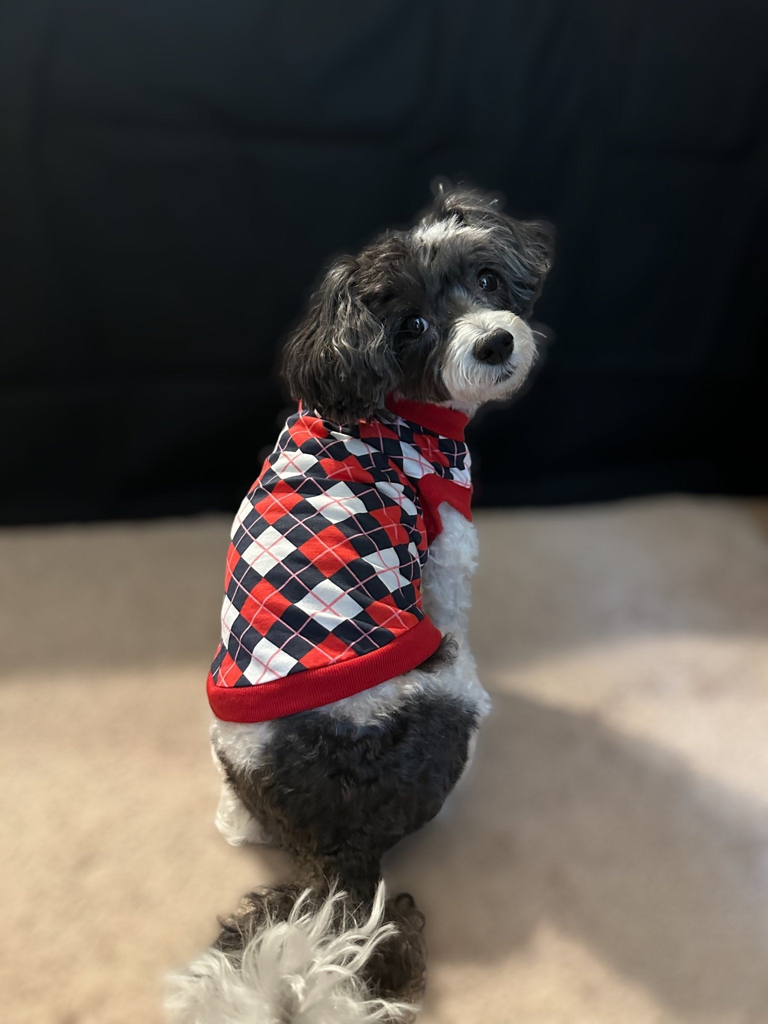 Red Argyle Pet T-Shirt - 4 Legs R Us